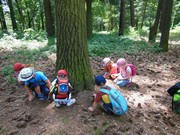 Celodenní výlet na Zámek Loučeň